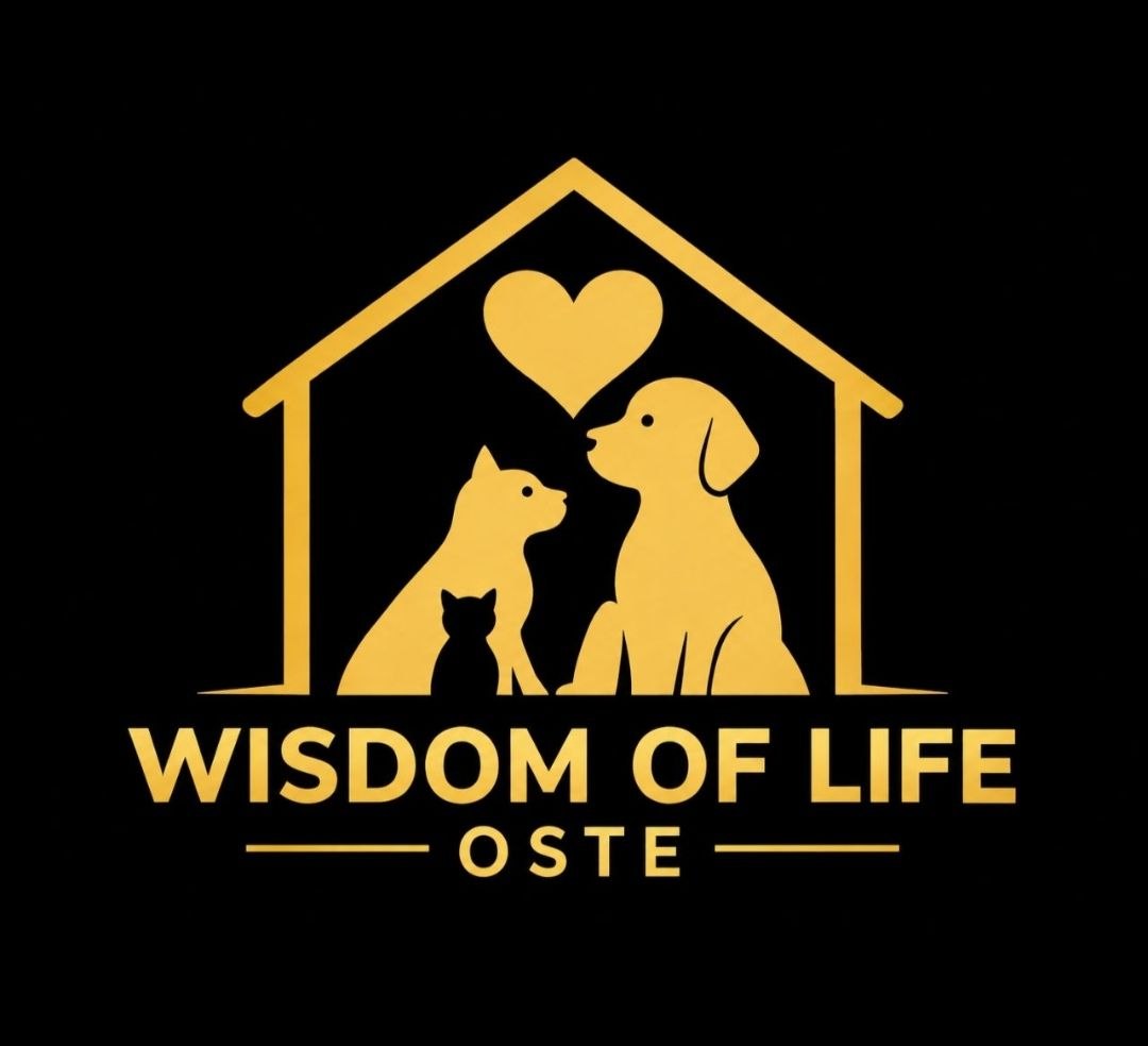 Logo Fundacji